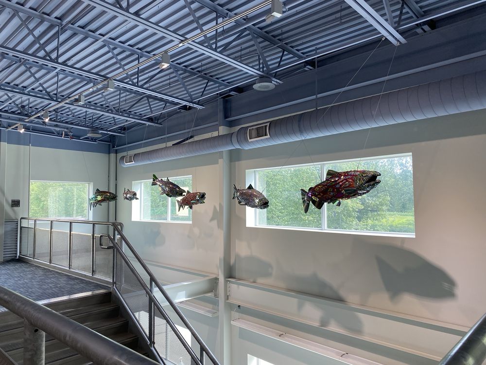 William J Hernandez Sport Fish Hatchery - social services organization in Anchorage, AK