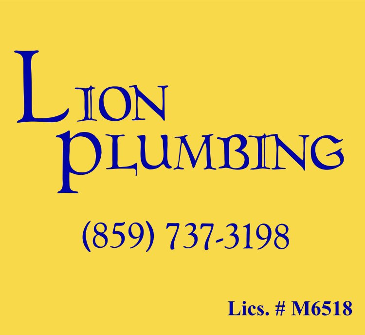 Slide of Lion Plumbing