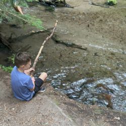 Still Creek - Fishing off the river on campsite #5 (not our site, but was empty)