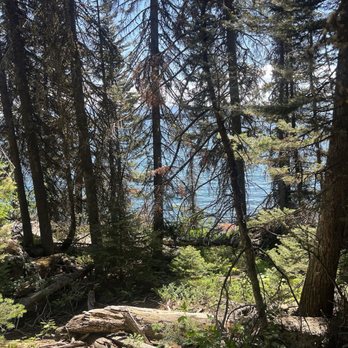 Jenny Lake - Lakes Near Me