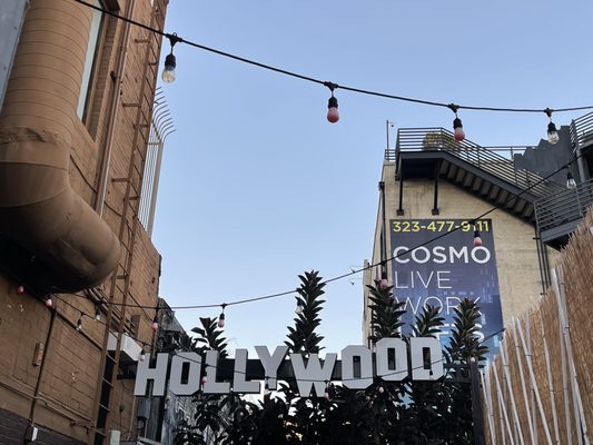 St Felix Hollywood by null