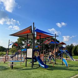 Zachary Playfield