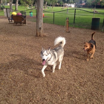 Uptown Dog Park - Perfect dog day @ the best dog park in long beach - Dog Parks Near Me - Long Beach, California Uptown Dog Park - Perfect dog day @ the best dog park in long beach - Dog Parks Near Me - Long Beach, California