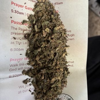 The Syndicate - Look at this shitty weed they sell at syndicate! Save yourself, don't go to syndicate!!! - Cannabis Dispensaries Near Me - Riverside, California The Syndicate - Look at this shitty weed they sell at syndicate! Save yourself, don't go to syndicate!!! - Cannabis Dispensaries Near Me - Riverside, California