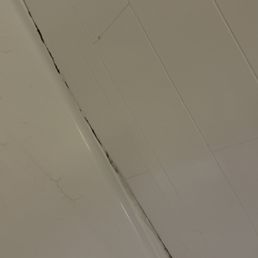 Mold and mildew
