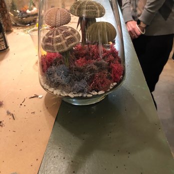 PlantHouse - I love this one - Arts & Crafts Near Me - Virginia Beach, Virginia