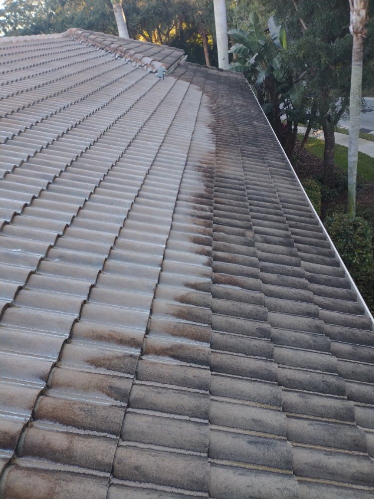 Slide of Elite Roof Cleaning