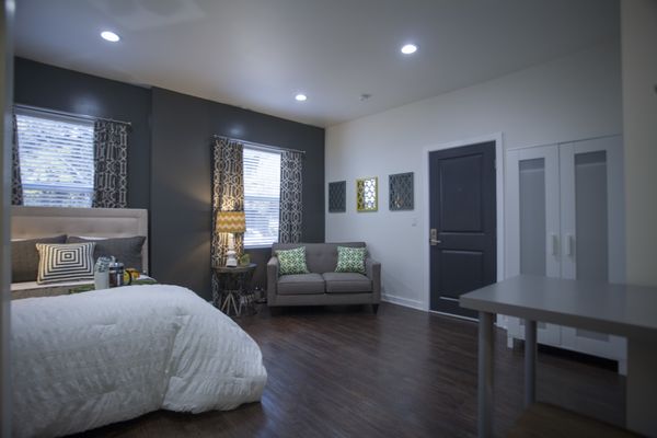 Hollywood Off Vine (Hov) by null