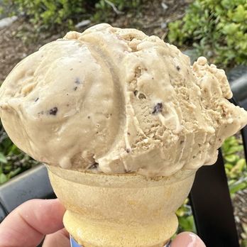 Delectable Delights - Cappuccino crunch - Ice Cream & Frozen Yogurt Near Me - Lutz, Florida