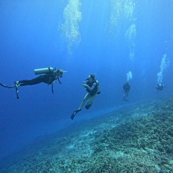 Aquatic Life Divers - Scuba Diving Near Me - Kailua-kona, Hawaii Aquatic Life Divers - Scuba Diving Near Me - Kailua-kona, Hawaii
