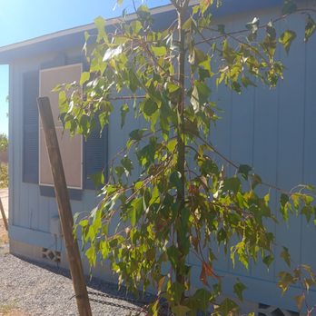 Las Vegas Backyards - Landscaping Near Me - Las Vegas, Nevada