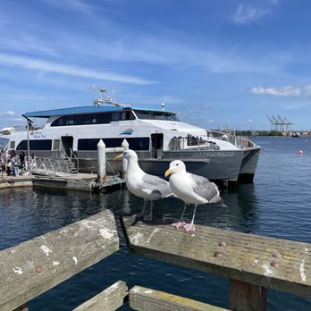 King County Water Taxi - Ferries Near Me - Seattle, Washington