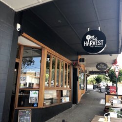 The Daily Harvest