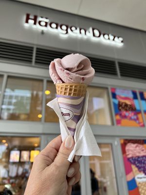 Häagen-Dazs Ice Cream River Landing by null