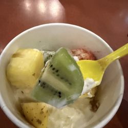 Tutti Frutti Frozen Yogurt - Vanilla froyo with chunks of kiwi strawberry and pineapple