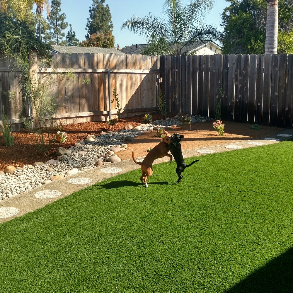 Smart Landscape - Landscaping Near Me - San Diego, California Smart Landscape - Landscaping Near Me - San Diego, California