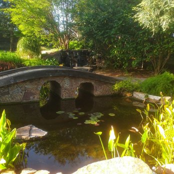 Brownstone Gardens - Koi pond - Venues & Event Spaces Near Me - Oakley, California Brownstone Gardens - Koi pond - Venues & Event Spaces Near Me - Oakley, California