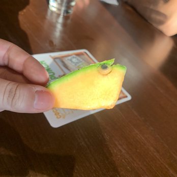 Bar Louie - Katy - Moldy cantaloupe from the melon margarita DONT suggest it!!! - Bars Near Me - Katy, Texas Bar Louie - Katy - Moldy cantaloupe from the melon margarita DONT suggest it!!! - Bars Near Me - Katy, Texas