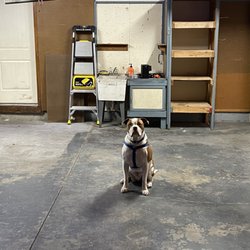 Simon Says Junk It - Helper Simon posing for the after shot! Clean garage.