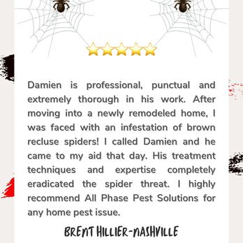 All Phase Pest Solutions - Another five-star recommendation! - Pest Control Near Me - Nashville, Tennessee