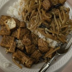 My little plate with white rice and tofu with exra veggies and my bamboo fork