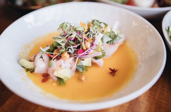 Cane & Canoe by null