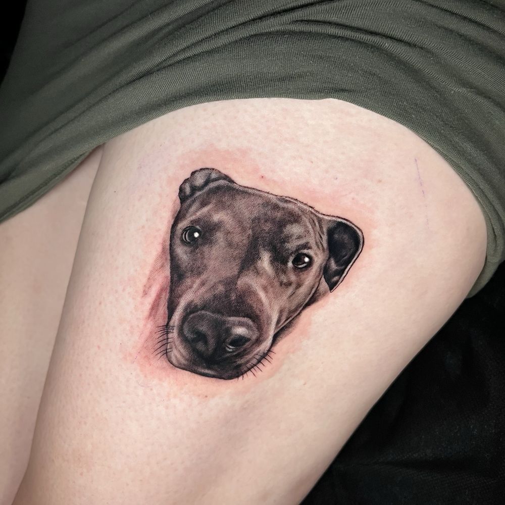 Just finished pup portrait Just finished pup portrait