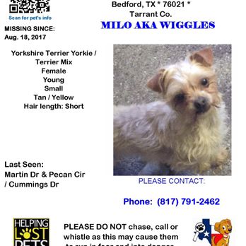 Keller Animal Shelter - If you see her, please call me immediately. Thank you 817-791-2462 - Animal Shelters Near Me - Keller, Texas Keller Animal Shelter - If you see her, please call me immediately. Thank you 817-791-2462 - Animal Shelters Near Me - Keller, Texas