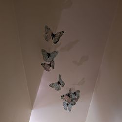 Jessica's Peaceful Journeys - In flight