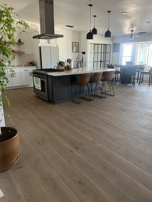 Black Colt Roofing and Construction Logo