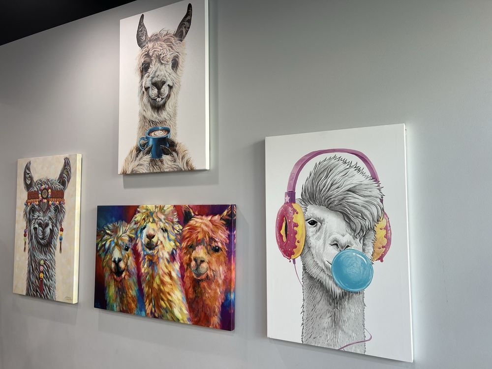 SUGAR LLAMAS Updated November 2024 18 Photos & 13 Reviews 8115 S