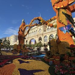 fête du citron