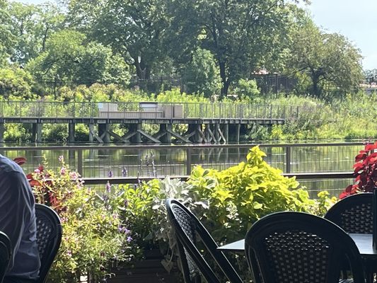 The Patio at Cafe Brauer by null
