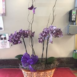 Alfa Flower Shop - Purple orchids