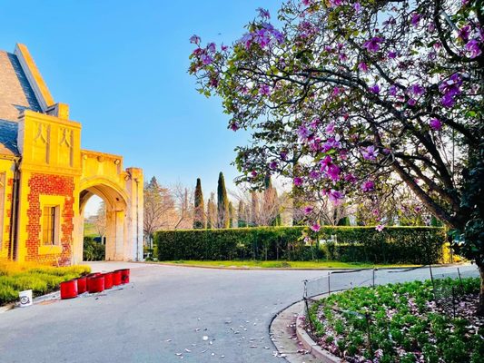 Piedmont Funeral Services and Mountain View Cemetery by null