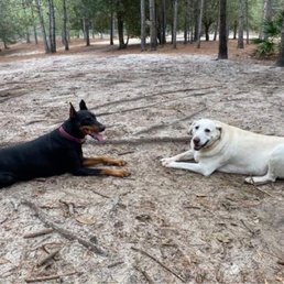Buddies for life!