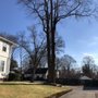 Photo of West John Jr Tree Service