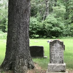 Fairview Cemetery - Old headstones