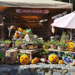 Plant trader - Fall theme - 90 degrees outside