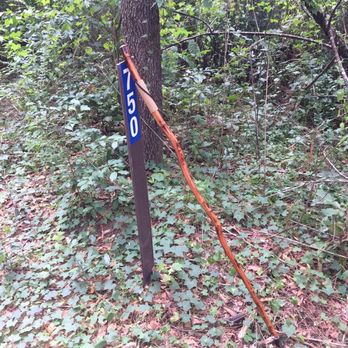 Dothan Forever Wild Trails - Hiking Near Me - Dothan, Alabama