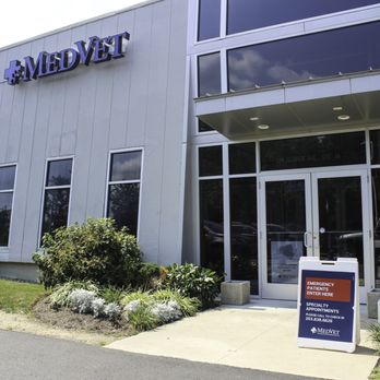 MedVet Norwalk - Veterinarians Near Me - Norwalk, Connecticut MedVet Norwalk - Veterinarians Near Me - Norwalk, Connecticut