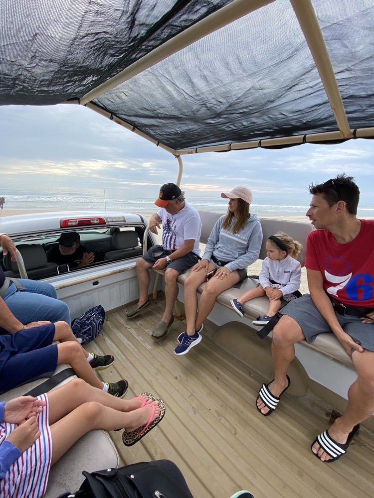 Back Beach Wild Horse Tours