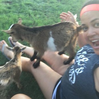 ATX Goat Yoga - Yoga Near Me - Bastrop, Texas ATX Goat Yoga - Yoga Near Me - Bastrop, Texas