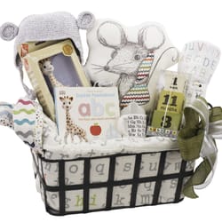Baskits - Baby's First ABCs: http://www.baskits.com/babys-first-abcs-b81715