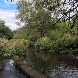 Moseley Bog Nature Reserve