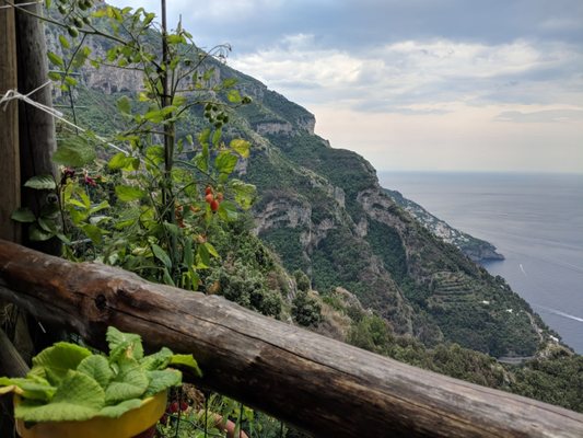 Il Chiosco del sentiero degli dei by null