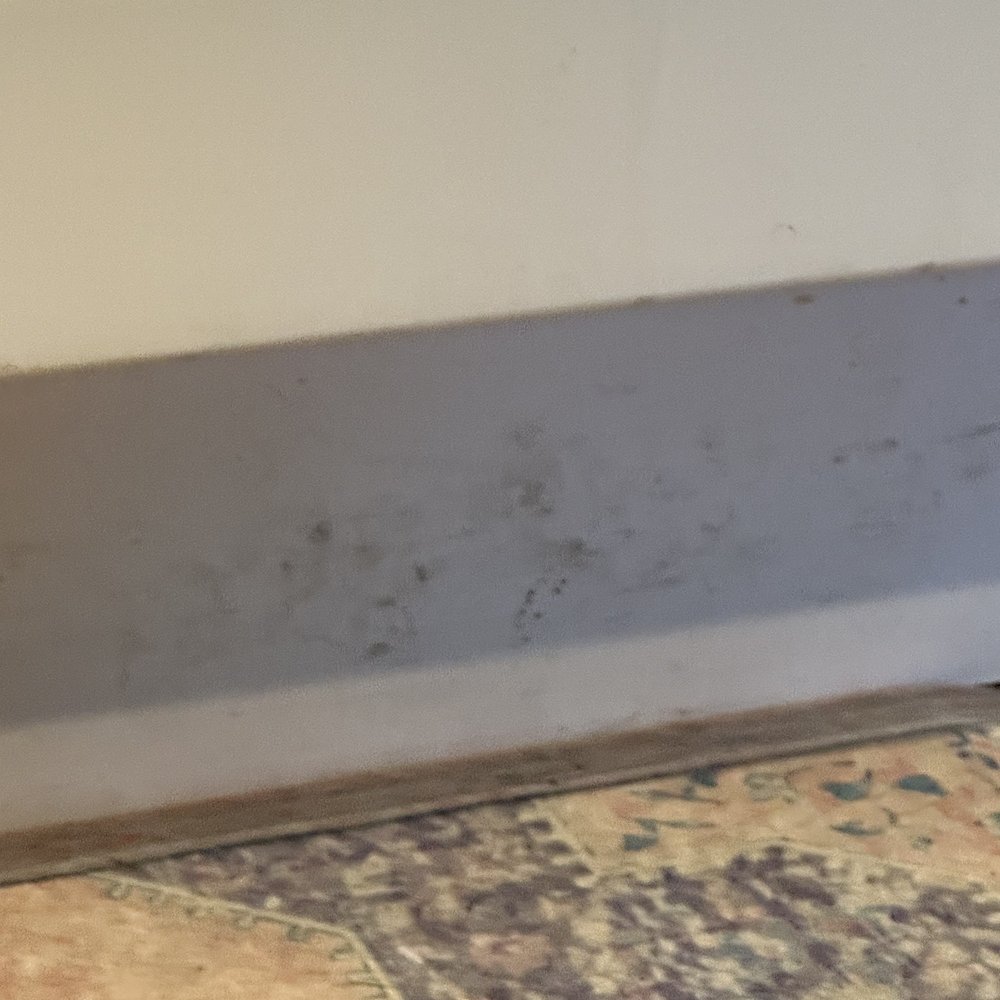 Citrus Fresh Housekeeping - Dirty baseboard - Home Cleaning Near Me - Redondo Beach, California Citrus Fresh Housekeeping - Dirty baseboard - Home Cleaning Near Me - Redondo Beach, California