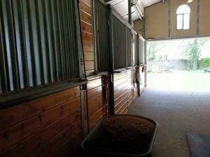 Bensons Ranch - equestrian in Pinellas Park, FL