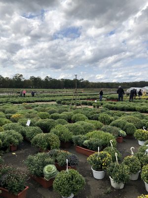 Gasko S Family Farms 112 Federal Rd Monroe Township Nj Mapquest 112 Federal Rd Monroe Township Nj