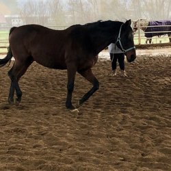 Apple Creek Training & Lessons Center